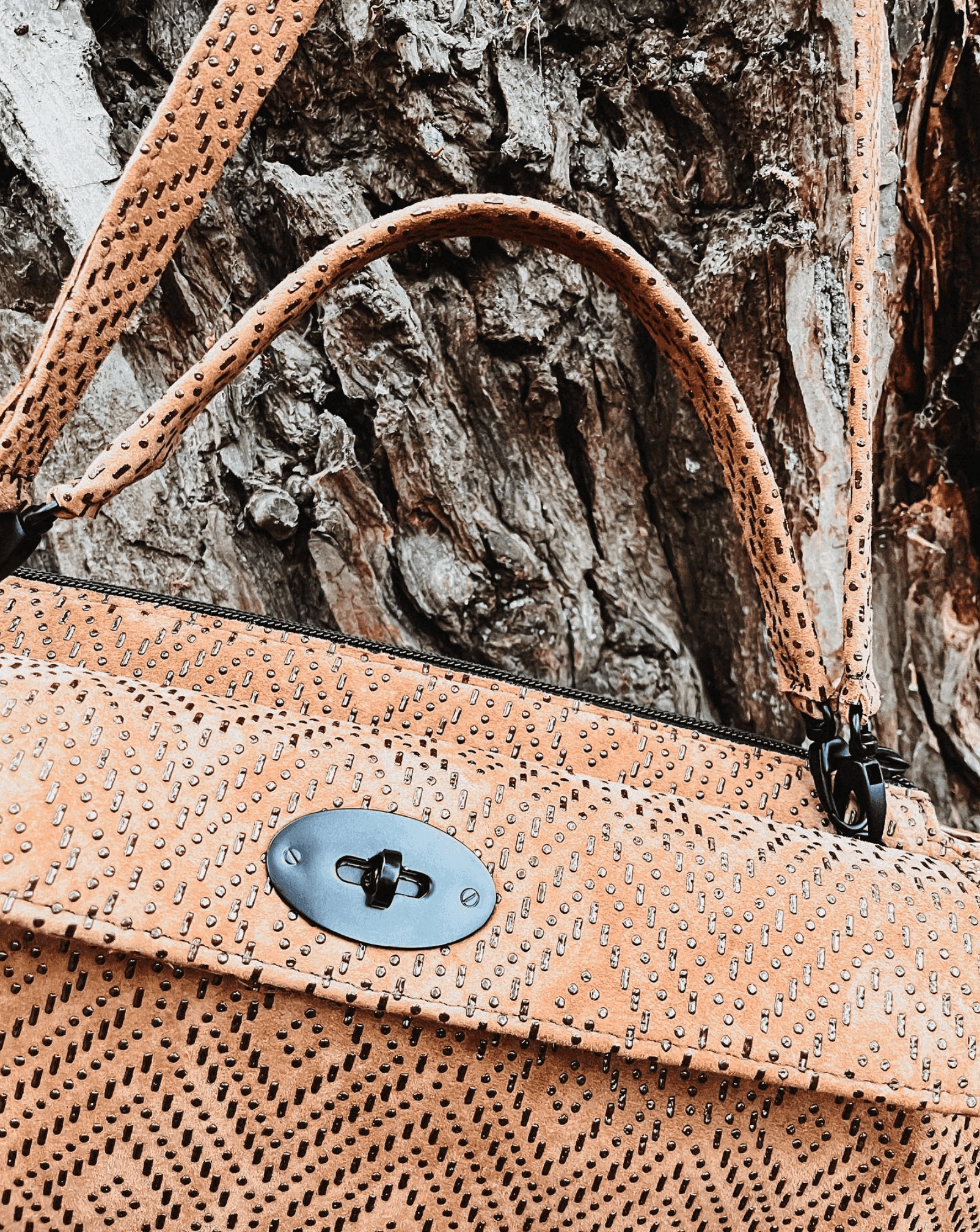 Harmonica tas detail